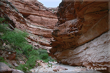 Hohe Canyonwände